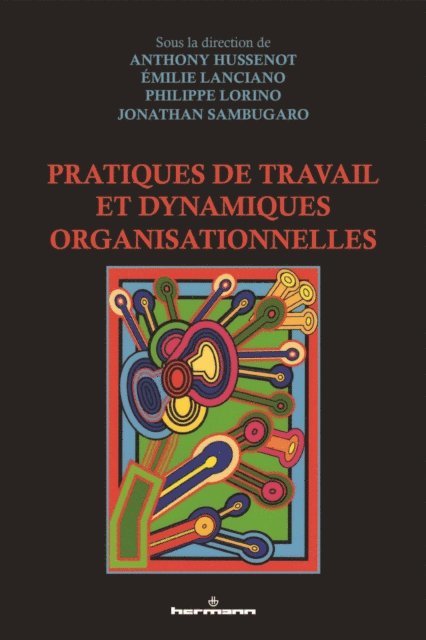Jonathan Sambugaro, Emilie Lanciano, Anthony Hussenot, Philippe Lorino - Pratiques de travail et dynamiques organisationnelles, E-bok