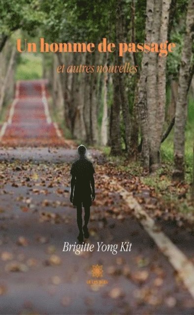 Brigitte Yong Kit - Un homme de passage et autres nouvelles, E-bok