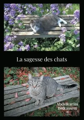 Abdelkarim Belkassem - sagesse des chats, Häftad. Tillgänglighet: Lägg i varukorg