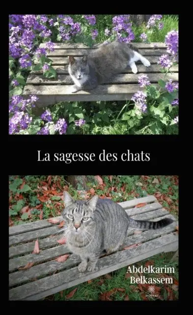 Abdelkarim Belkassem - La sagesse des chats, E-bok. Tillgänglighet: Lägg i varukorg