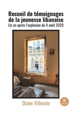 Diane Villemin - Recueil de témoignages de la jeunesse libanaise, Häftad