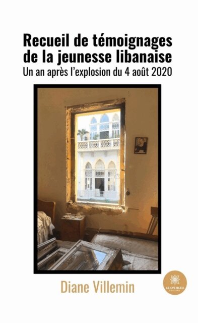 Diane Villemin - Recueil de temoignages de la jeunesse libanaise, E-bok