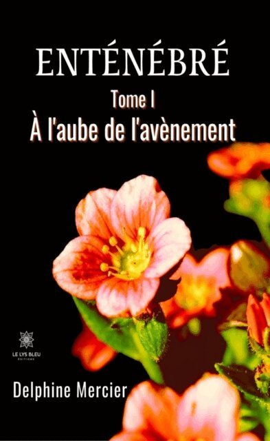 Delphine Mercier - Entenebre - Tome 1, E-bok