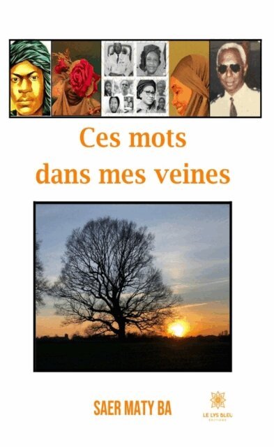 Saer  Maty Ba - Ces mots dans mes veines, E-bok