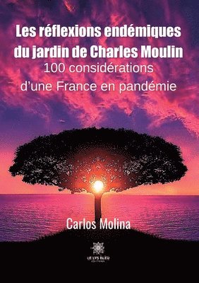 Carlos Molina - Les réflexions endémiques du jardin de Charles Moulin, Häftad
