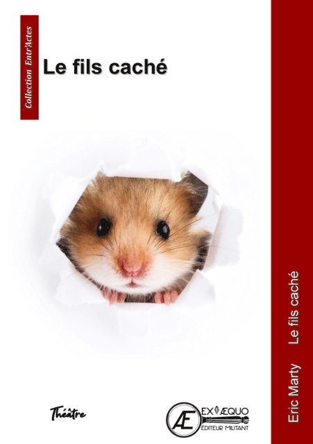 Eric Marty - Le fils caché, E-bok
