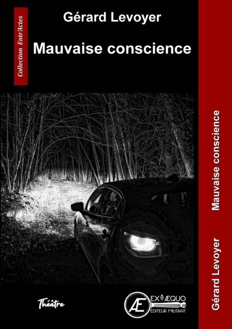 Gerard Levoyer - Mauvaise conscience, E-bok