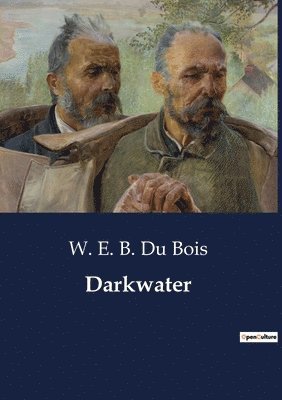 W E B Du Bois - Darkwater, Häftad