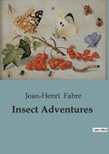 Insect Adventures