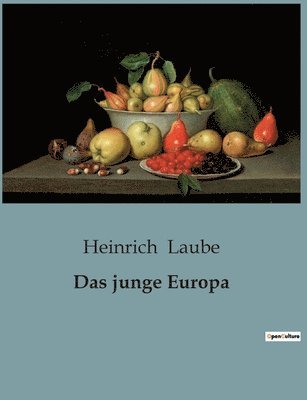 Heinrich Laube - junge Europa, Häftad