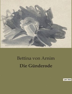 Bettina Von Arnim - Günderode, Häftad
