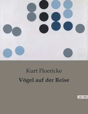 Kurt Floericke - Vögel auf der Reise, Häftad