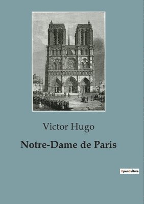Victor Hugo - Notre-Dame de Paris, Häftad