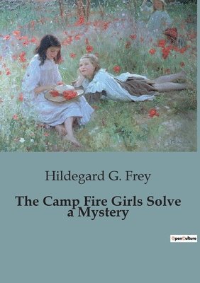 Hildegard G Frey - Camp Fire Girls Solve a Mystery, Häftad
