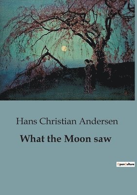 Hans Christian Andersen - What the Moon saw, Häftad