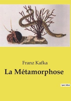 Franz Kafka - Métamorphose, Häftad