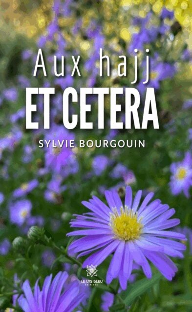 Sylvie Bourgouin - Aux hajj et cetera, E-bok