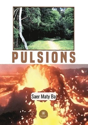 Saer Maty Ba - Pulsions, Häftad. Tillgänglighet: Lägg i varukorg