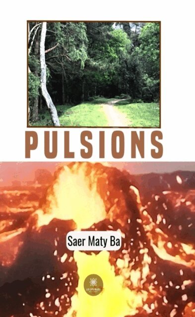 Saer  Maty Ba - Pulsions, E-bok