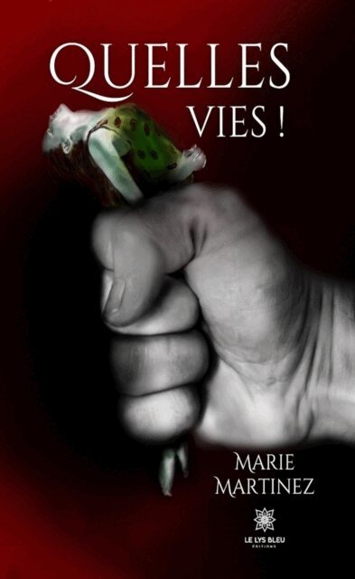 Marie Martinez - Quelles vies !, E-bok