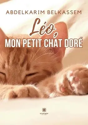 Abdelkarim Belkassem - Léo, mon petit chat doré, Häftad. Tillgänglighet: Lägg i varukorg