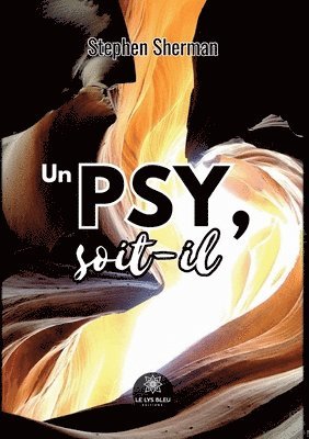 Stephen Sherman - psy, soit-il, Häftad. Tillgänglighet: Lägg i varukorg