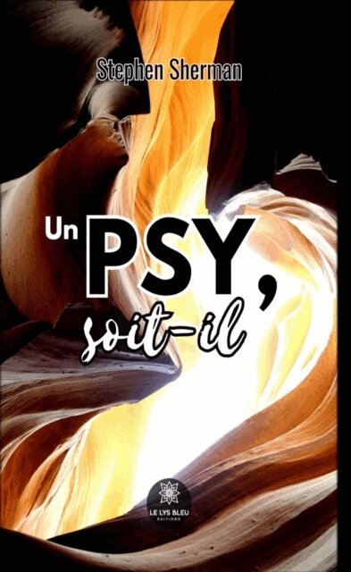 Stephen Sherman - Un psy, soit-il, E-bok