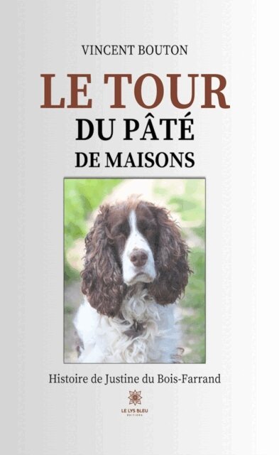 Vincent Bouton - Le tour du pate de maisons, E-bok
