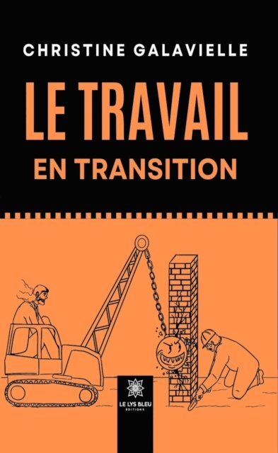 Christine Galavielle - Le travail en transition, E-bok