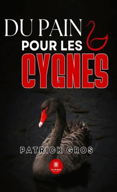 Patrick Gros - Du pain pour les cygnes, E-bok