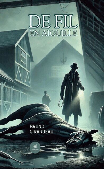 Bruno Girardeau - De fil en aiguille, E-bok