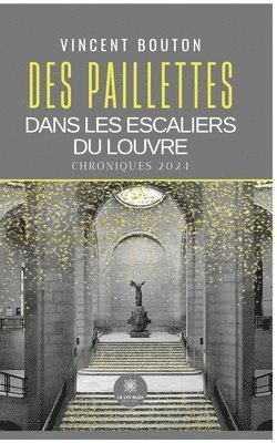 Vincent Bouton - Des paillettes dans les escaliers du Louvre, Häftad