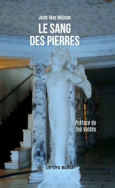 Jean-Max Mejean - Le sang des pierres, E-bok