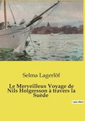 Merveilleux Voyage de Nils Holgersson à travers la Suède