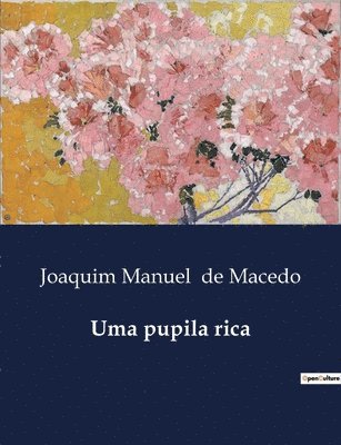Joaquim Manuel De Macedo - Uma pupila rica, Häftad