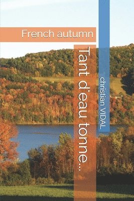 Christian Vidal - Tant d'eau tonne...: French autumn, Häftad