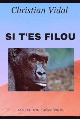 Christian Vidal - Si t'es filou: Poésie performance, Häftad