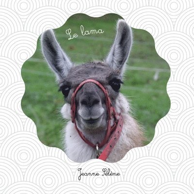 Jeanne Sélène - Le lama: documentaire animalier sur les camélidés, Häftad. Tillgänglighet: Lägg i varukorg