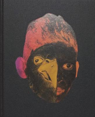 Vasantha Yogananthan - Afterlife, Inbunden