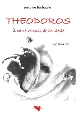 Susanna Barbaglia - Theodoros, il cane venuto dalle stelle, Häftad