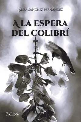 Laura Sánchez Fernández - A la espera del colibrí, Häftad. Tillgänglighet: Lägg i varukorg