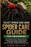 Velvet Spider Care Guide for Beginners