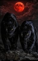 Matthew Petchinsky - Nightfangs Beneath the Crimson Orb, Inbunden