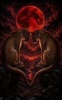 Matthew Petchinsky - Where Two Wild Hearts Meet Beneath the Blood Moon, Inbunden