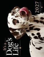 B Patrick - It's a Dog's Life 2027 Calendar, Häftad. Tillgänglighet: Lägg i varukorg