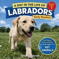 Labradors