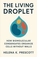 Living Droplet