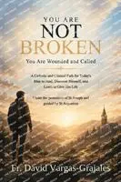 David Vargas - You are Not Broken, Häftad. Tillgänglighet: Lägg i varukorg