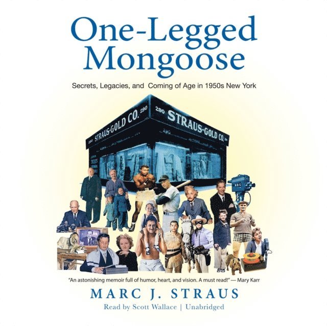Marc J. Straus - One-Legged Mongoose, Ljudbok