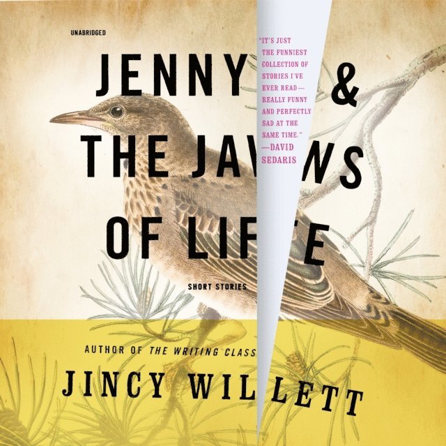 Jincy Willett - Jenny and the Jaws of Life, Ljudbok